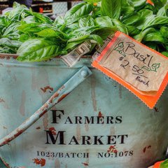 Queen Street Farmers Market