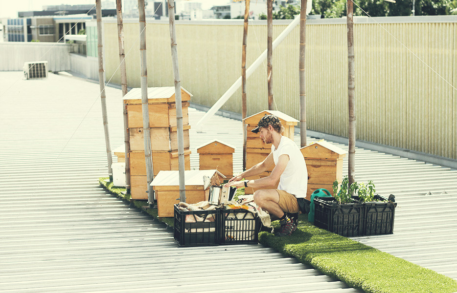 TWE Rooftop Honey Harvest