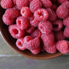 Enjoy the taste of farm-fresh berries from My Berries