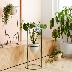 Support your greenery with the help of the stunning Sanctuary collection from Ivy Muse