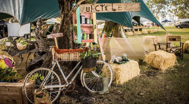 Immerse yourself in authentic country culture at the Felton Food Festival