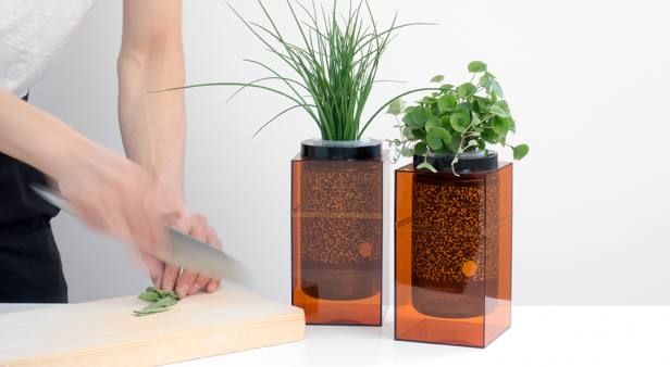 Grow healthy herbs with minimal work with the Spacepot by Future Farms