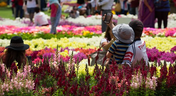 Toowoomba Carnival of Flowers continues to blossom with its freshest offering to date