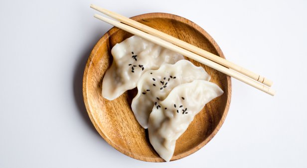 Keeping it street (food) – hip-hop and dumplings combine to stimulate your soul
