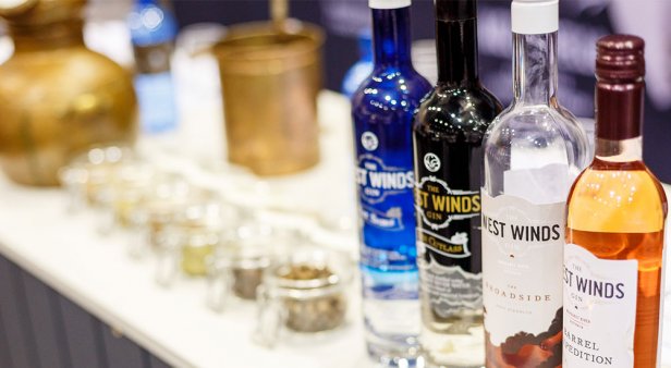 From cheese alleys to wine ice-cream – find your new favourites at the Good Food and Wine Show