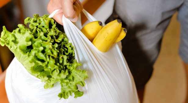 Hooray environment! Queensland to ban plastic bags and introduce cash-for-cans scheme