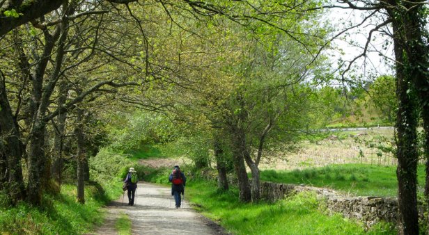 Walk or Cycle the Camino