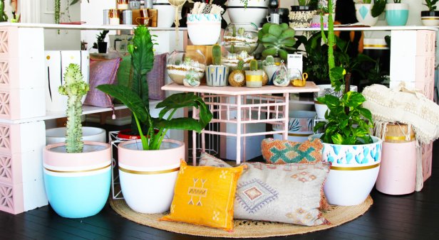 Calling all potheads – Arc + Family brings a slice of tropical pastel paradise to James Street