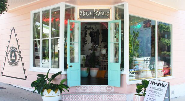 Calling all potheads – Arc + Family brings a slice of tropical pastel paradise to James Street