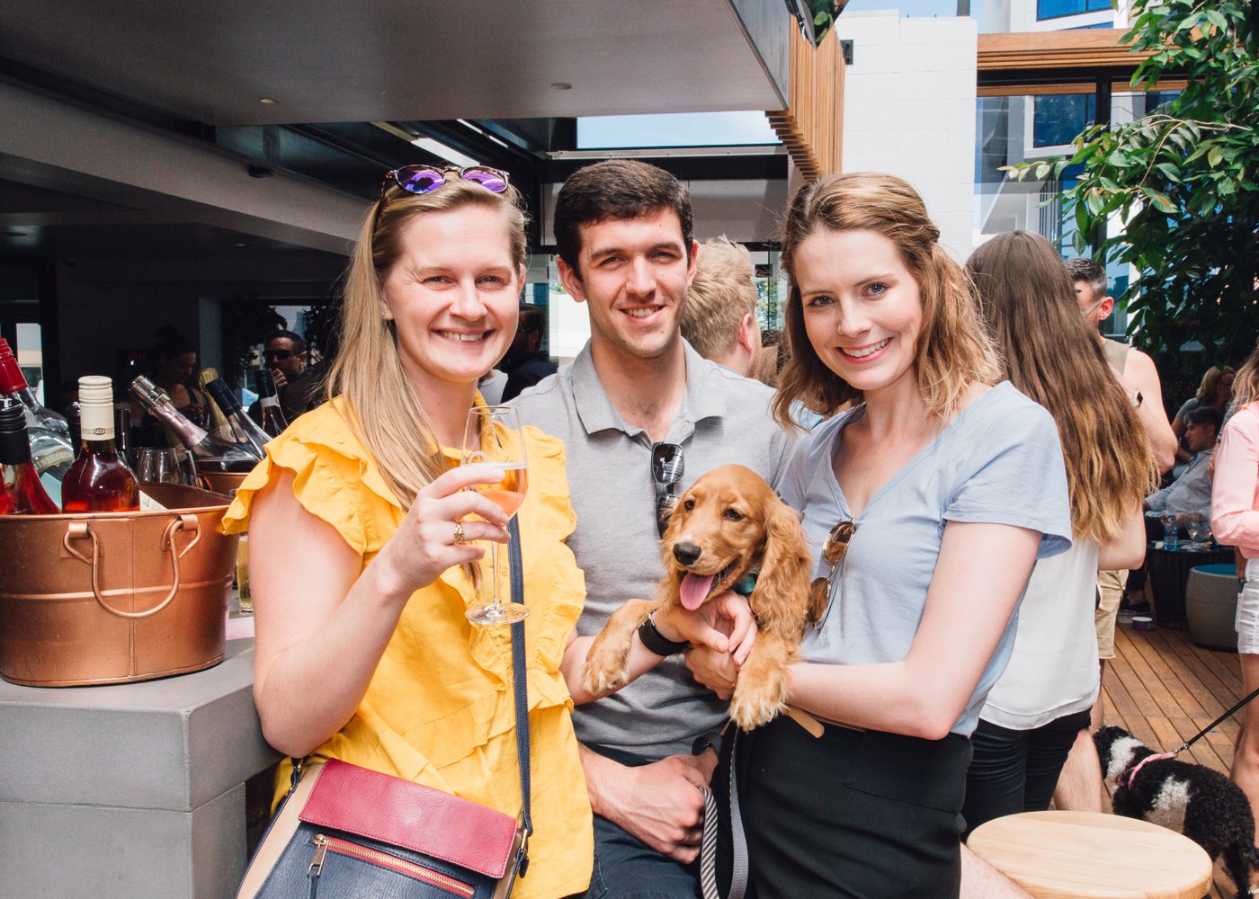 Paws and Pints