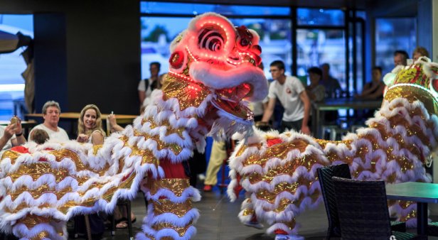 Chinese New Year at Sanctuary Cove