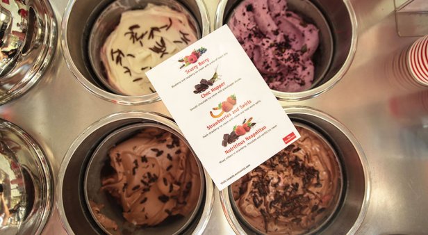 Creamy critters – where to try insect ice-cream for free