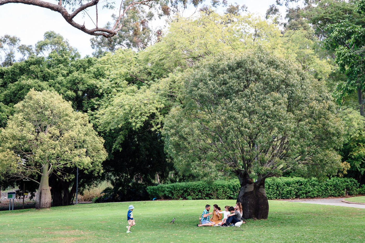 Shakespeare in the Gardens