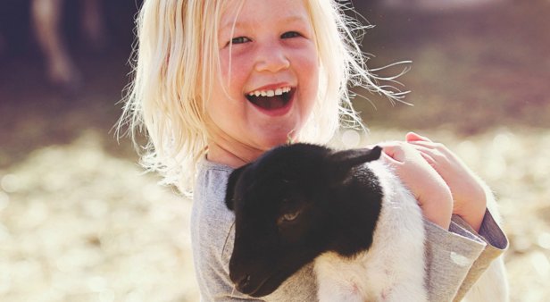 Free Family Fun Day – Animal Farm