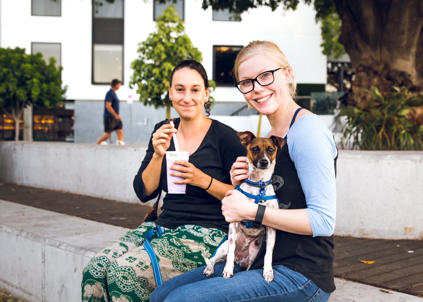 Tiny Dog Festival