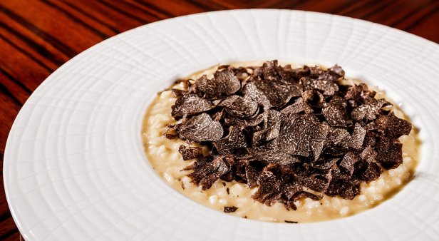 &#8216;Tis the (truffle) season – indulge in decadent delights at the Bacchus Truffle Degustation