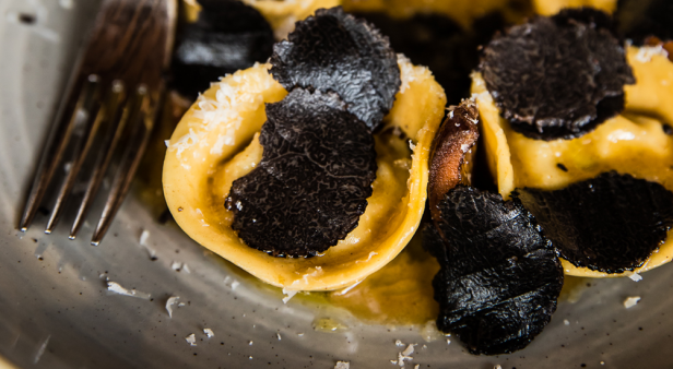 Savour the bounty of truffle season with OTTO Ristorante&#8217;s truffle service