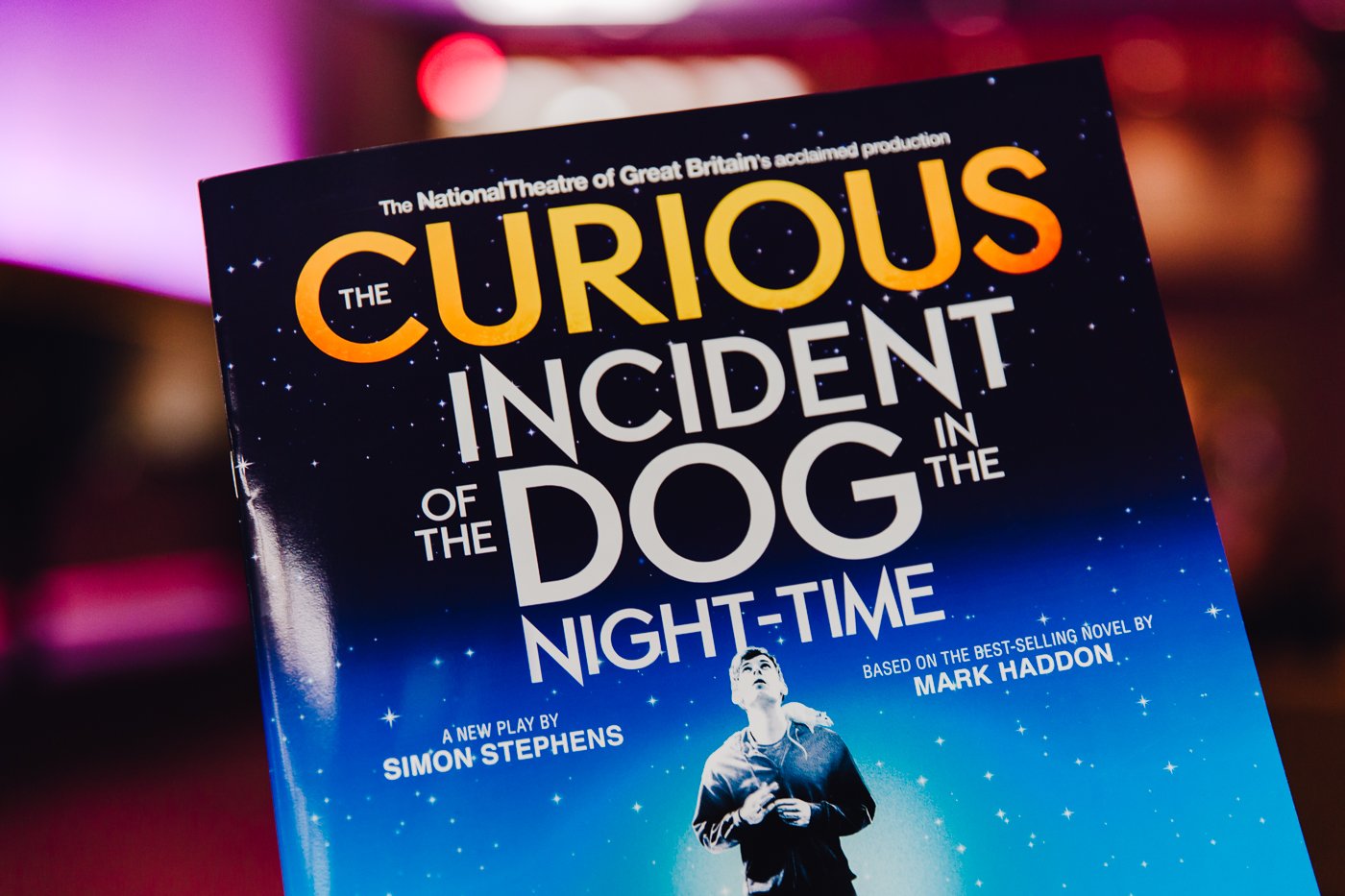 The Curious Incident of the Dog in the Night-Time