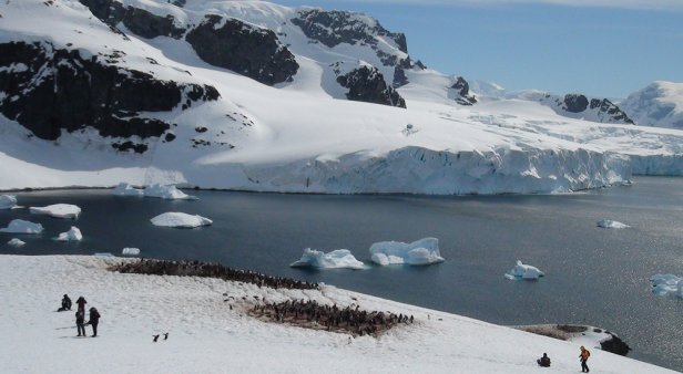 Feed your curiosity and cruise the Antarctic with Dr Karl