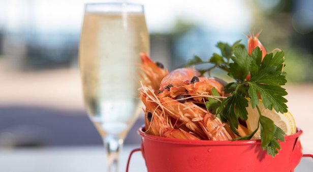 Moreton Bay Food + Wine Festival