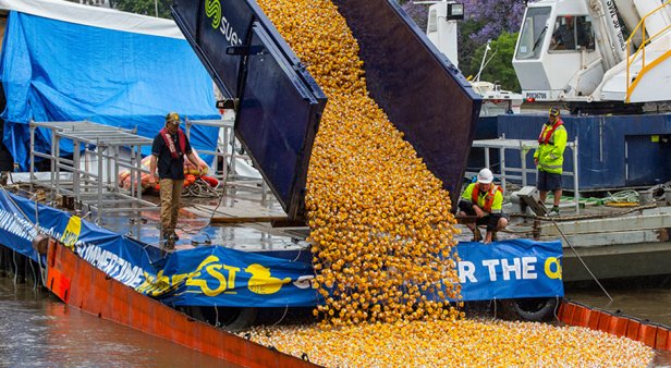 Australia&#8217;s Biggest Duck Race for Cancer Research