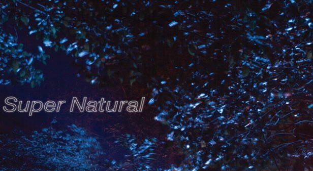 VERGE Collective with artist Marian Drew presents Super Natural