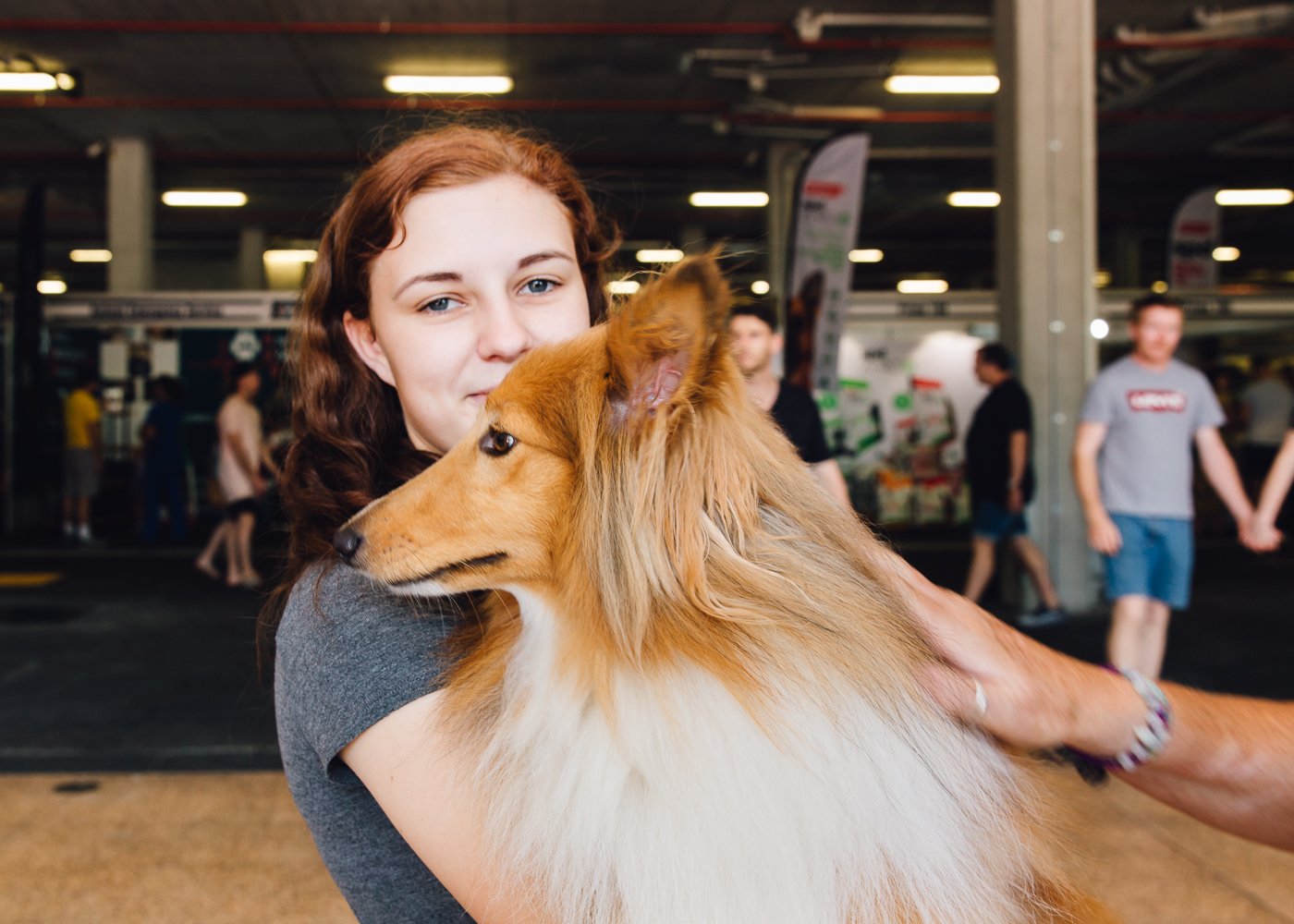 Brisbane Dog Lovers Show