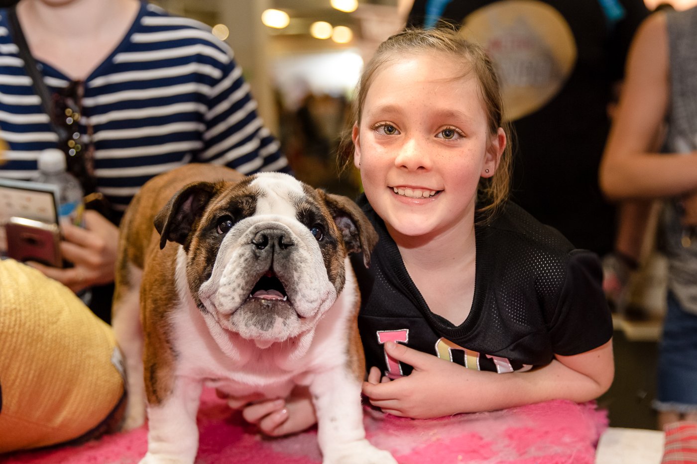 Brisbane Dog Lovers Show