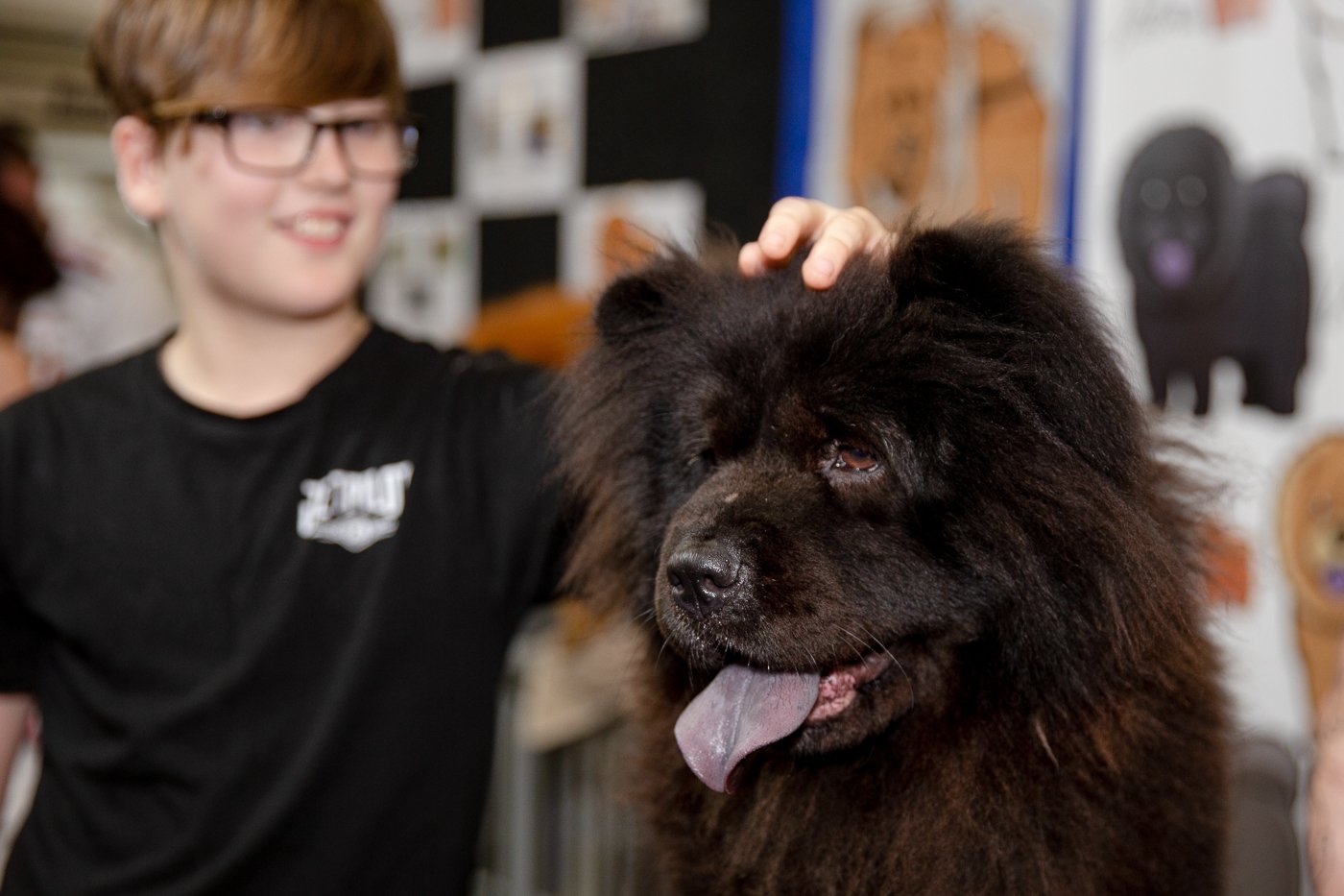 Brisbane Dog Lovers Show