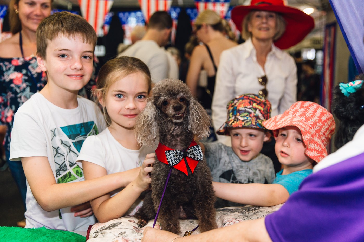 Brisbane Dog Lovers Show