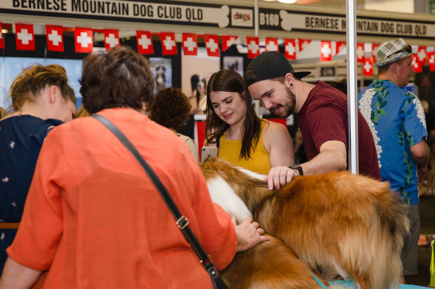 Brisbane Dog Lovers Show