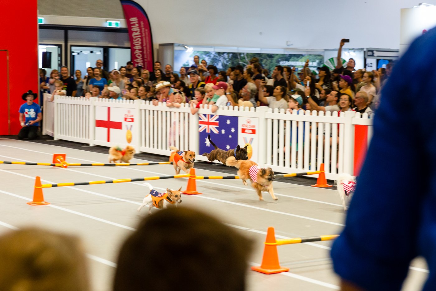 Brisbane Dog Lovers Show