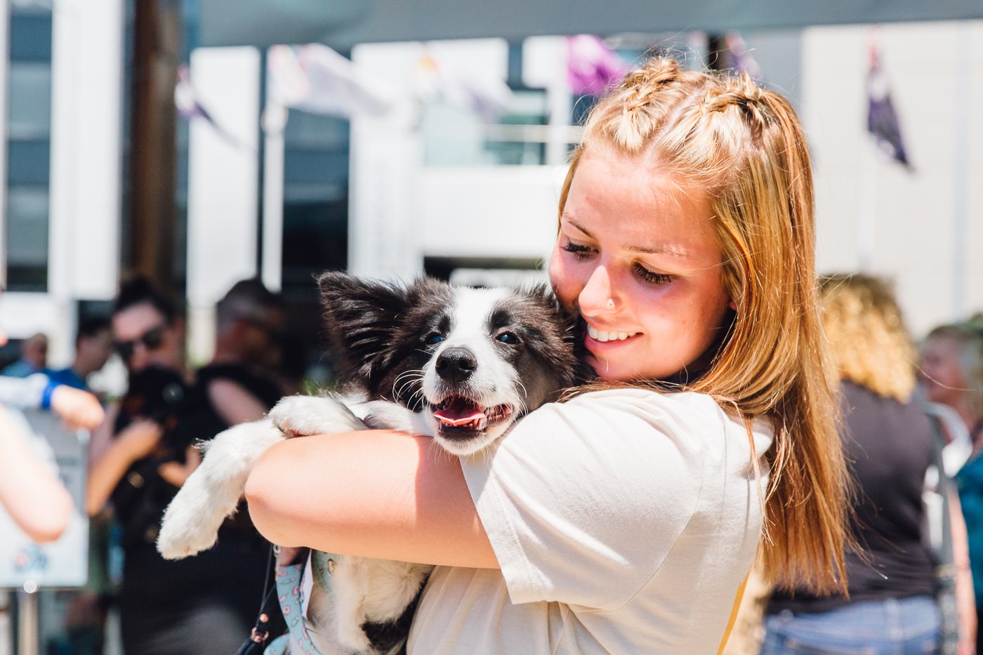 Brisbane Dog Lovers Show