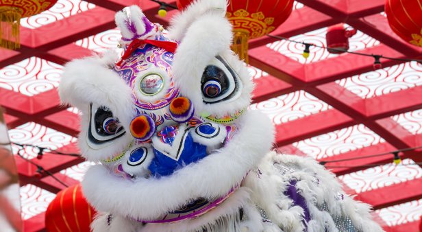 Sizzle, spark and spice – where to celebrate the Lunar New Year in Brisbane