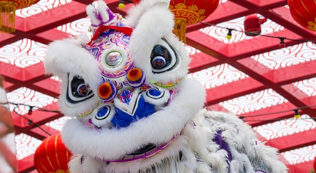 Lunar New Year – Year of the Pig