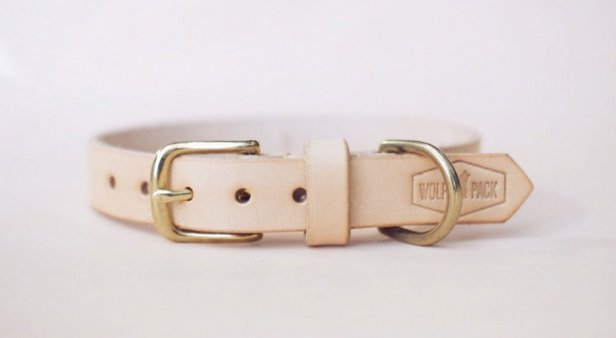 Deck out your doggo with handmade collars and leashes from Wolf Pack Leather