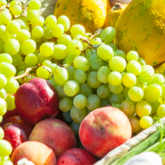 Grab your green bags – Brisbane City Markets launches in Reddacliff Place