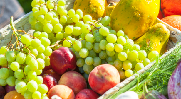 Grab your green bags – Brisbane City Markets launches in Reddacliff Place