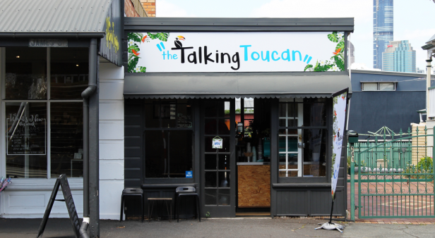 The Talking Toucan