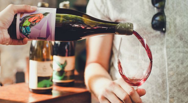 Vino but not as you know – Wine Playground returns to showcase our country’s most progressive drops
