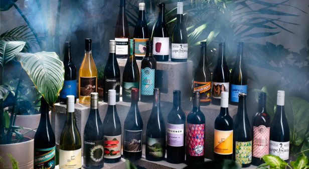 Queensland winemaker named 2019 Young Gun of Wine Awards finalist