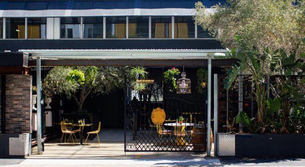 The Matriarch brings a dash of romance and luxe Euro elegance to Newstead