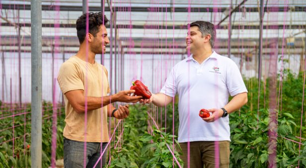 New food-delivery service Farm2Market brings produce from Australian farmers to your door