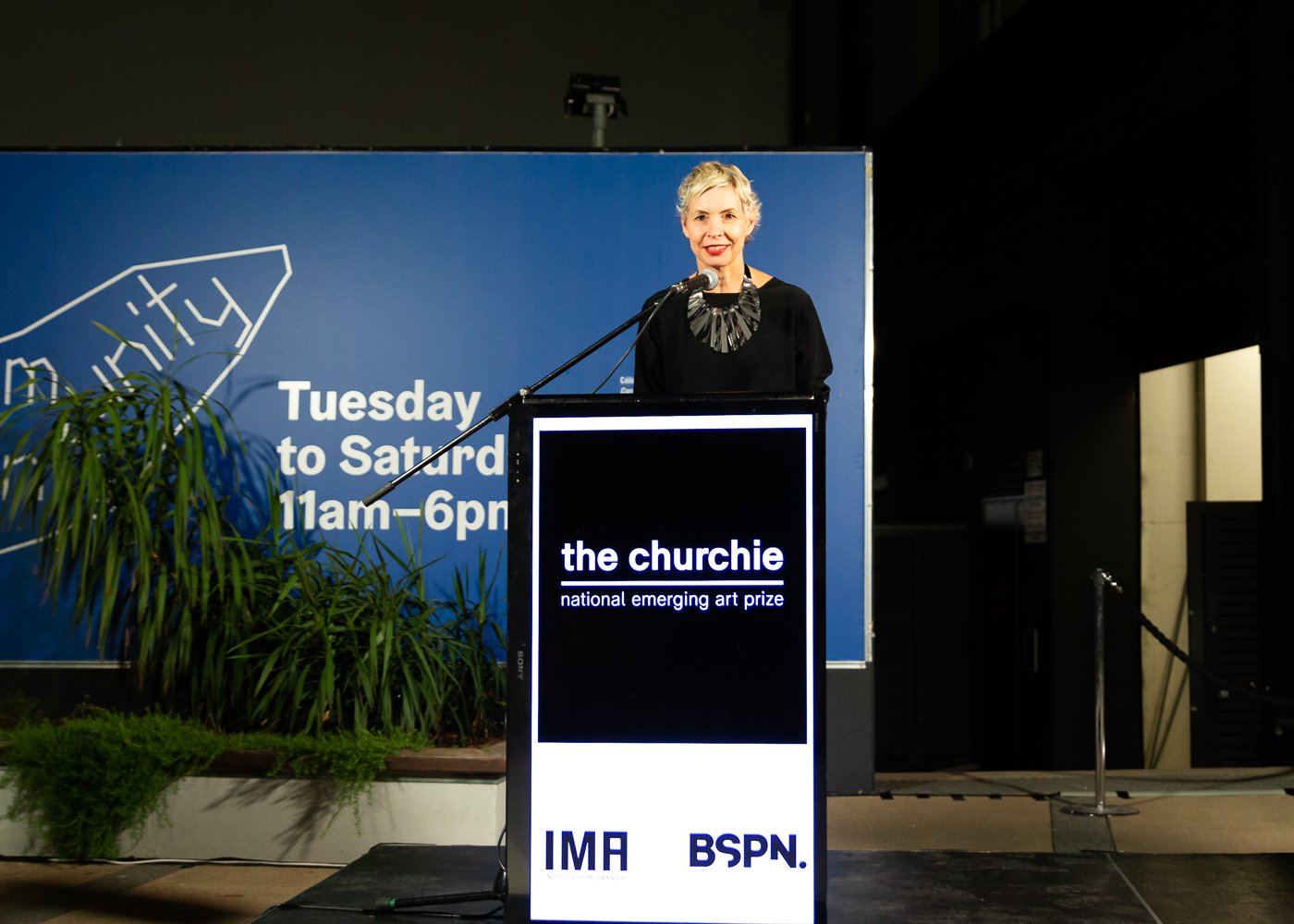 The Churchie National Emerging Art Prize Awards