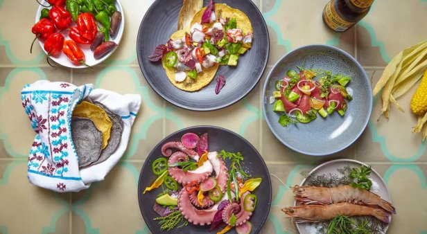 Tacos and tequila – Byron Bay&#8217;s Chupacabra joins with Botero House to present A Taste of Mexico