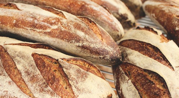 Danny's Bread | Brisbane's best bakeries