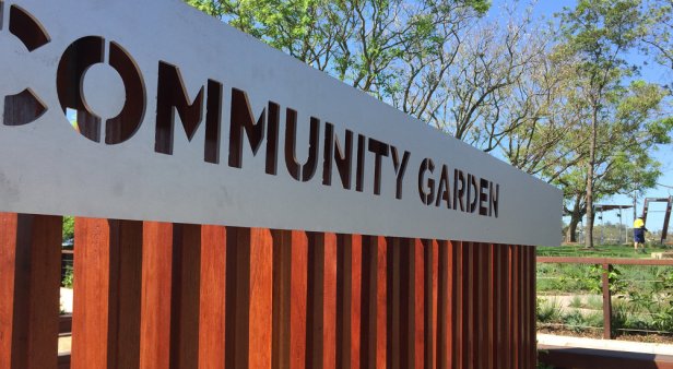 UQ Community Garden and Playground Opening