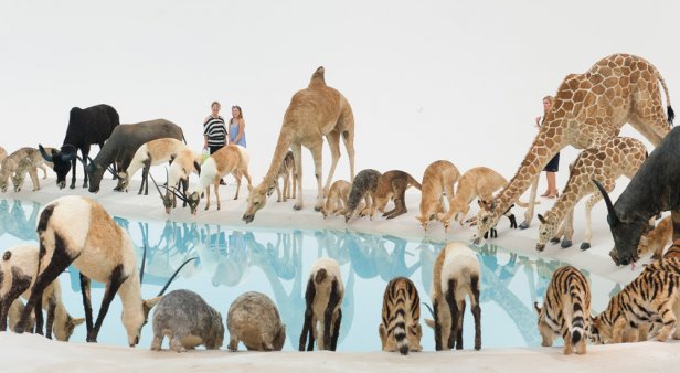 TEMPORARILY CLOSED Explore and celebrate the vital element of Water at GOMA&#8217;S latest exhibition