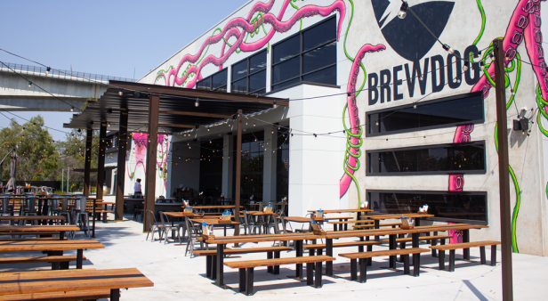 BrewDog | Brisbane's best beer gardens and outdoor bars