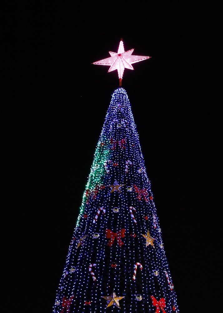 The Lighting of the Christmas Tree